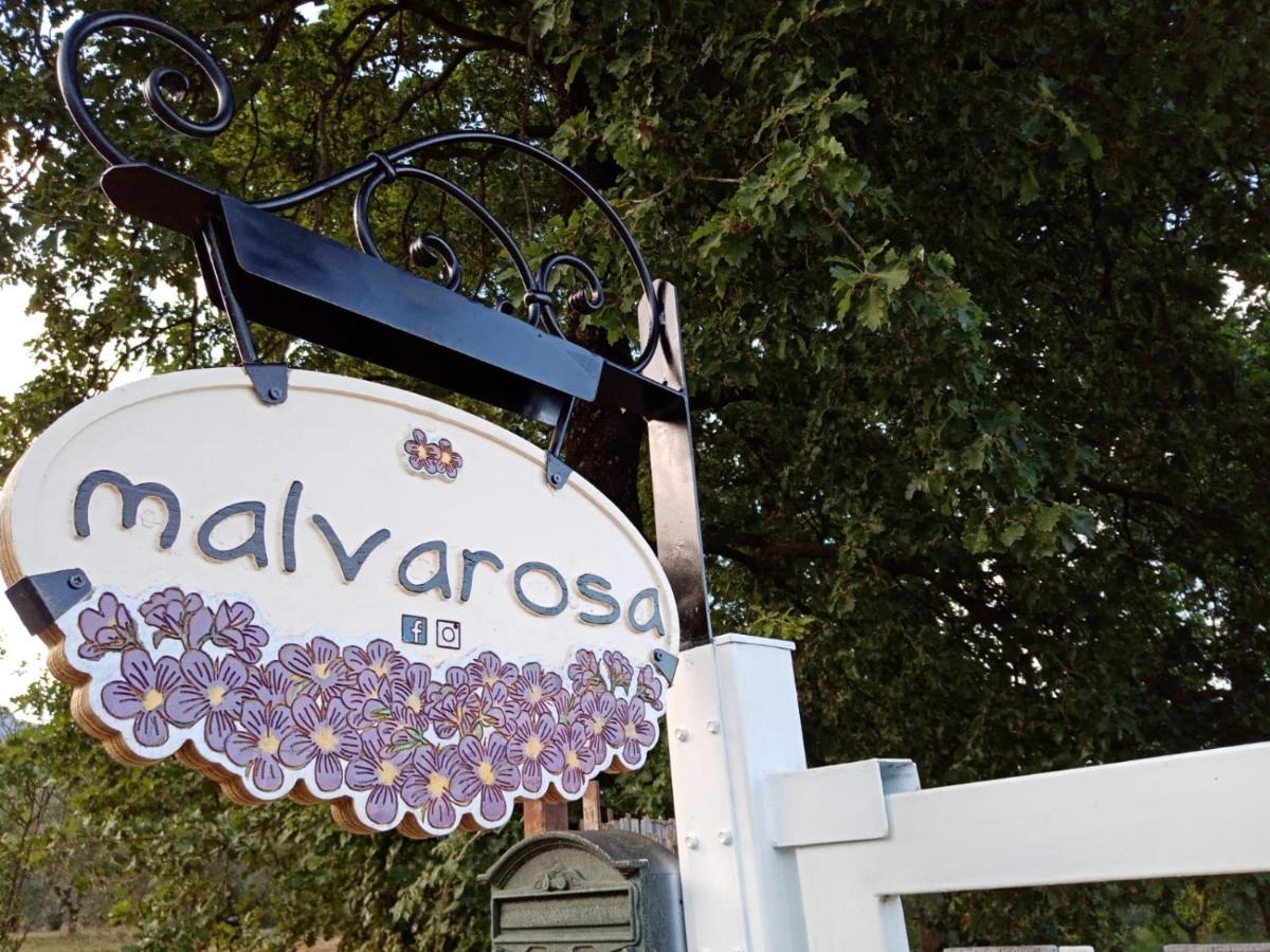 Casa Vacanze Malvarosa Spigno Saturnia Eksteriør bilde