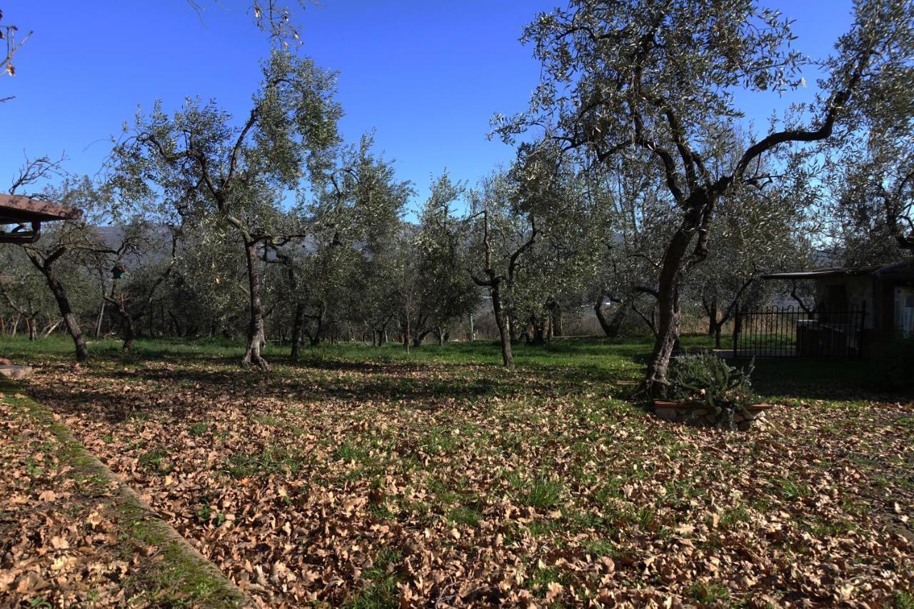 Casa Vacanze Malvarosa Spigno Saturnia Eksteriør bilde