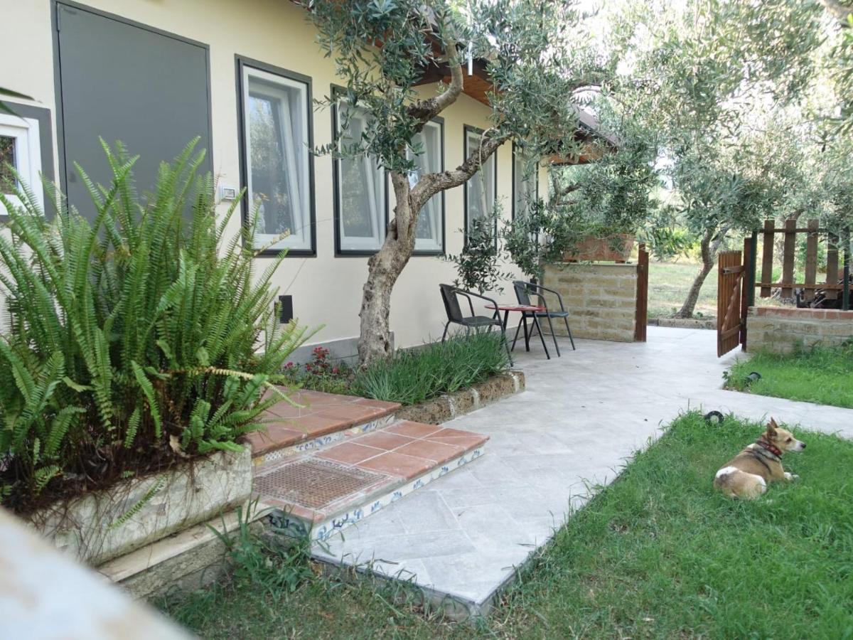 Casa Vacanze Malvarosa Spigno Saturnia Eksteriør bilde