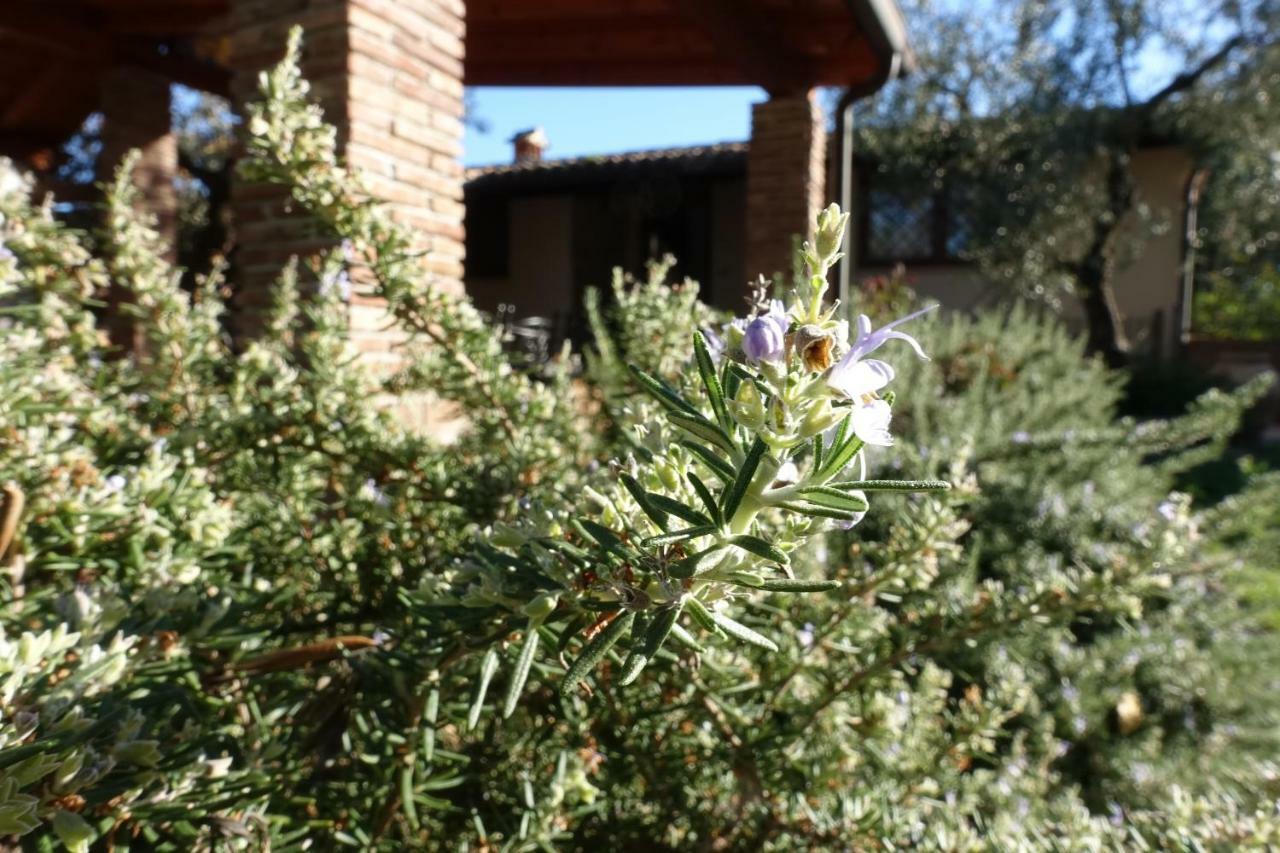 Casa Vacanze Malvarosa Spigno Saturnia Eksteriør bilde