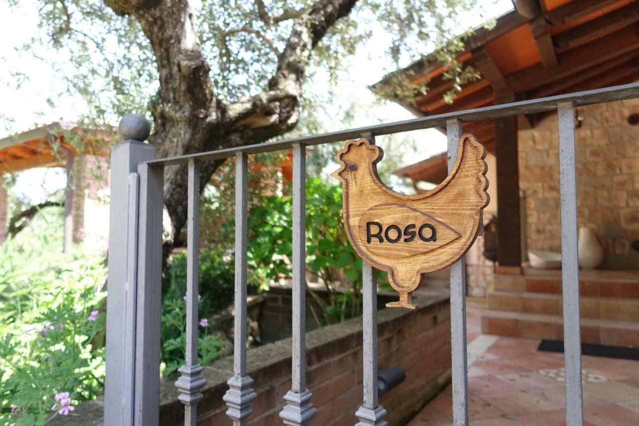 Casa Vacanze Malvarosa Spigno Saturnia Eksteriør bilde